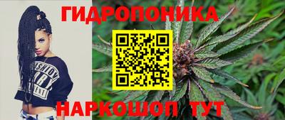 тгк Кандалакша